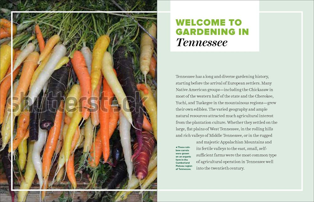 Grow Great Vegetables in Tennessee