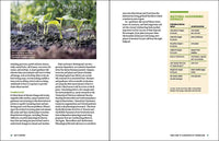 Grow Great Vegetables in Tennessee