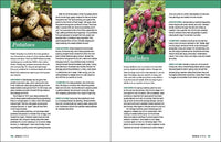 Grow Great Vegetables in Tennessee