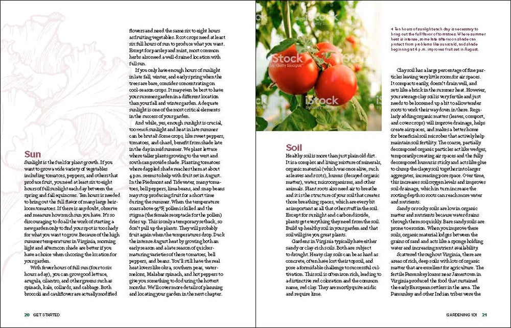 Grow Great Vegetables in Virginia