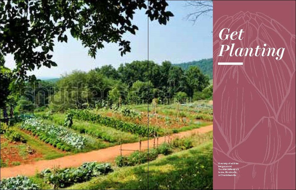 Grow Great Vegetables in Virginia