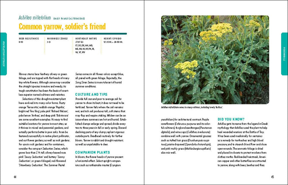Deer-Resistant Native Plants for the Northeast