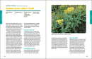 Deer-Resistant Native Plants for the Northeast