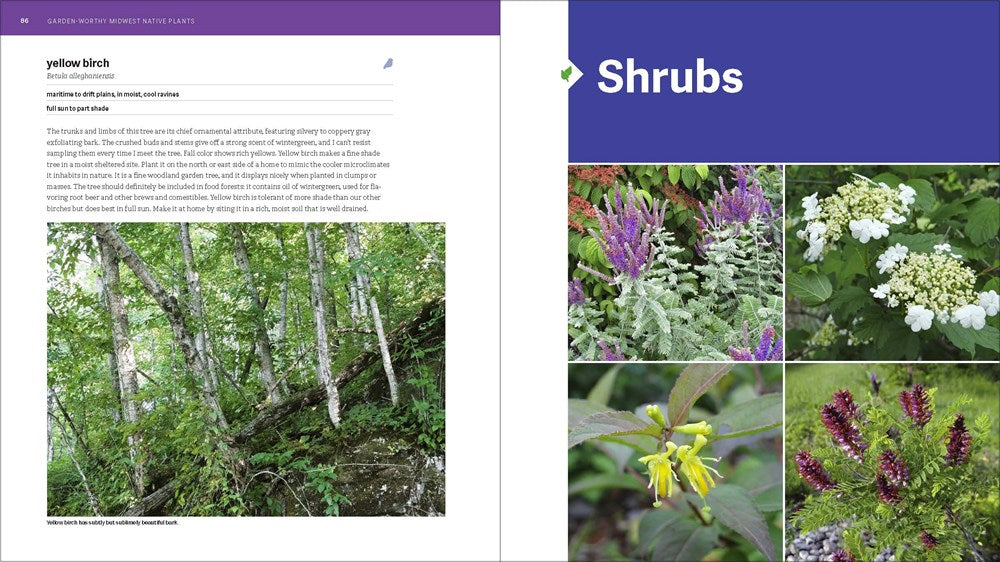 The Midwest Native Plant Primer