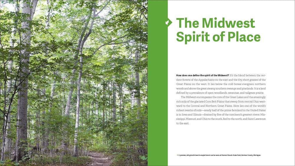 The Midwest Native Plant Primer