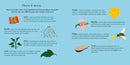 Secrets of the Vegetable Garden