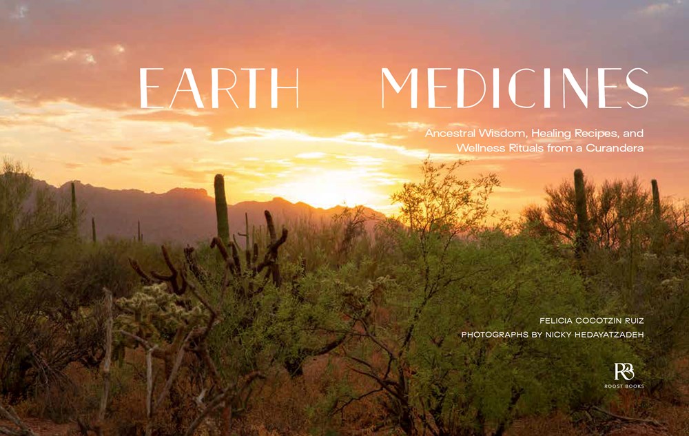 Earth Medicines