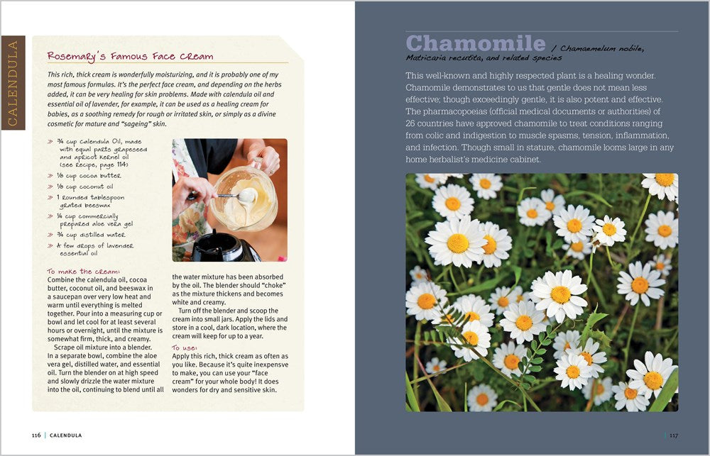 Rosemary Gladstar's Medicinal Herbs: A Beginner's Guide