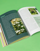 Rosemary Gladstar's Medicinal Herbs: A Beginner's Guide: 33 Healing Herbs to Know, Grow, and Use