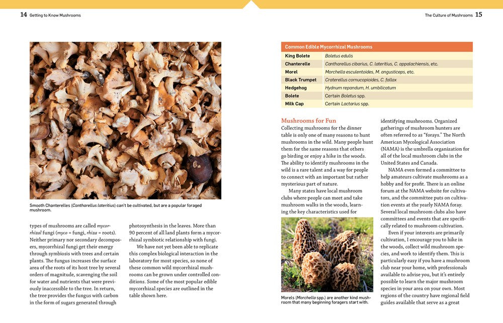 The Essential Guide to Cultivating Mushrooms