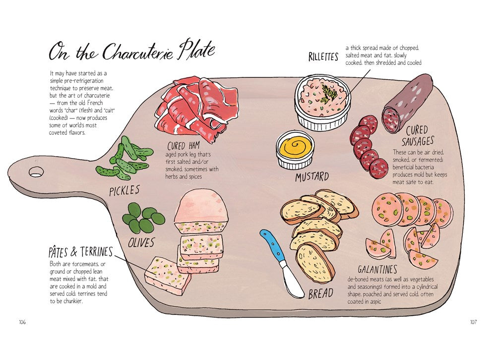 Food Anatomy
