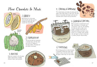 Food Anatomy