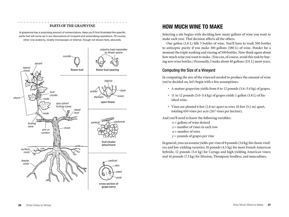 From Vines to Wines, 5th Edition