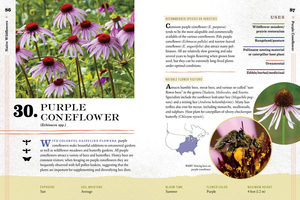 100 Plants to Feed the Bees