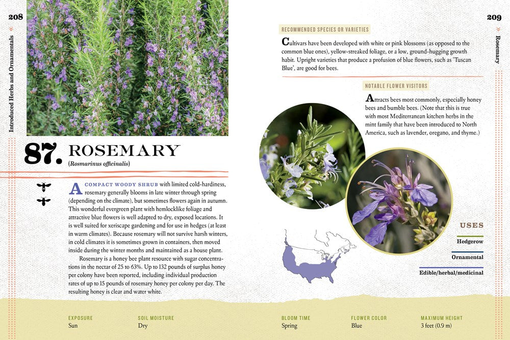 100 Plants to Feed the Bees
