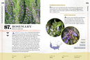 100 Plants to Feed the Bees