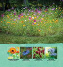 Mini Meadows