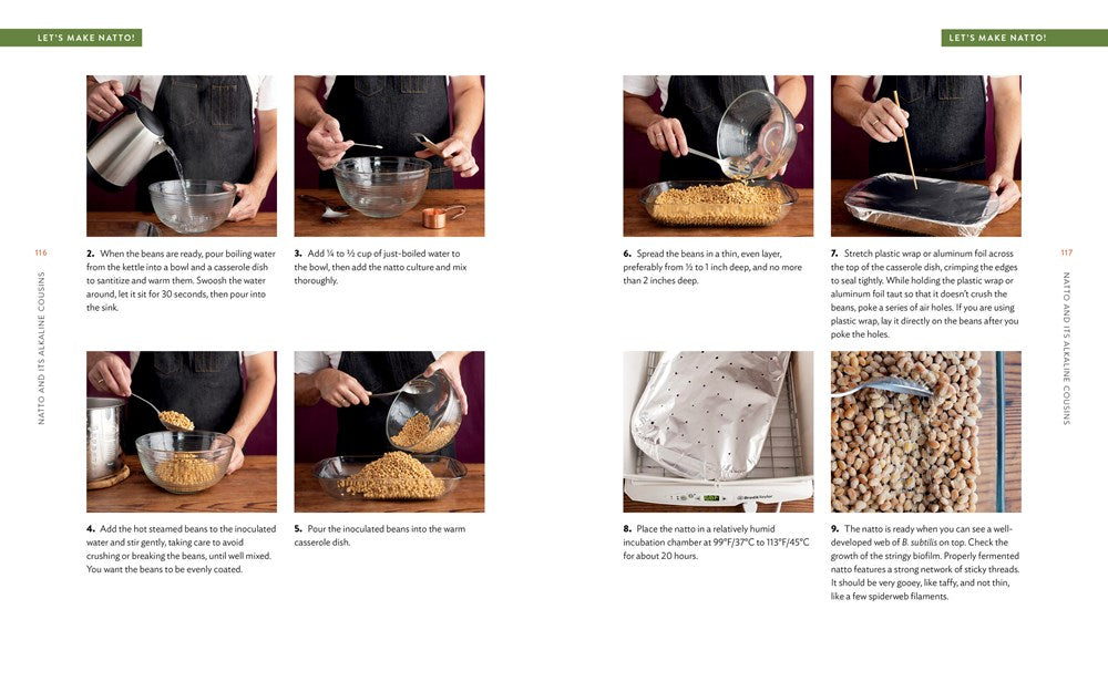 Miso, Tempeh, Natto & Other Tasty Ferments