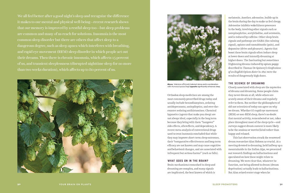 Your Brain on Plants