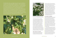 Your Brain on Plants