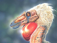 Dinosaurs - The Grand Tour, Second Edition