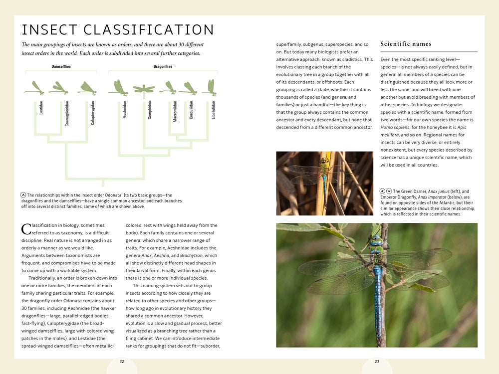 How Insects Work