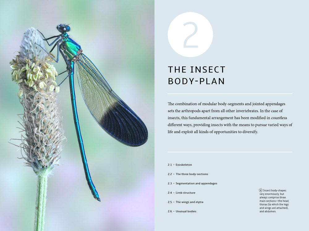 How Insects Work