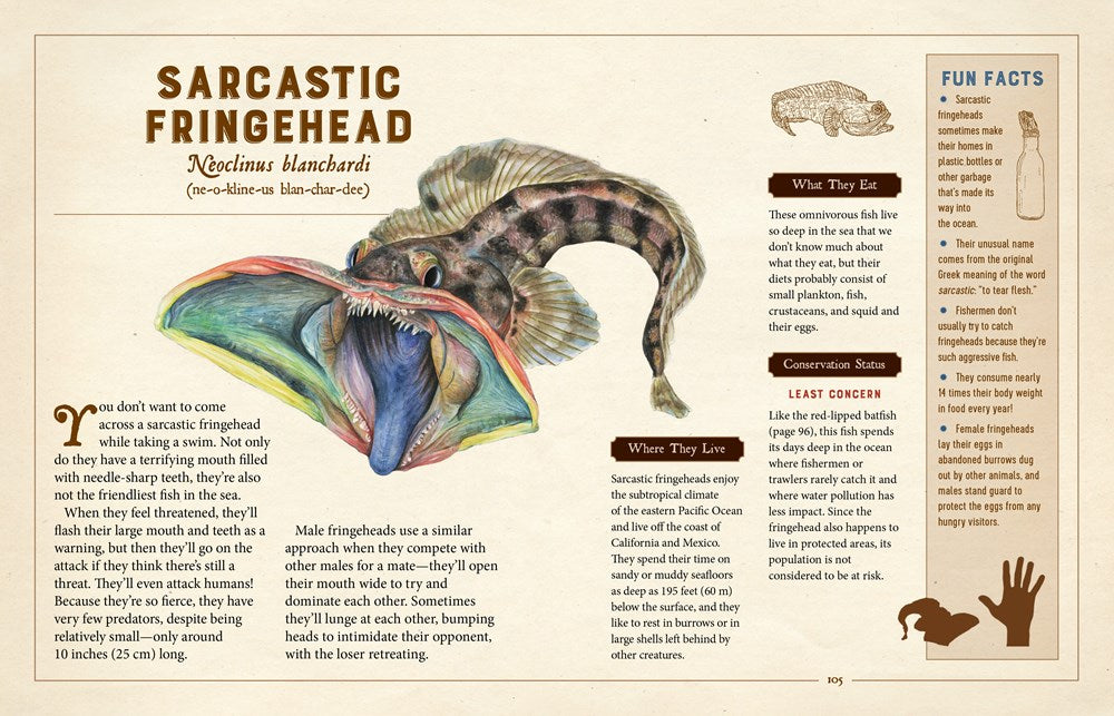 A Curious Collection of Peculiar Creatures