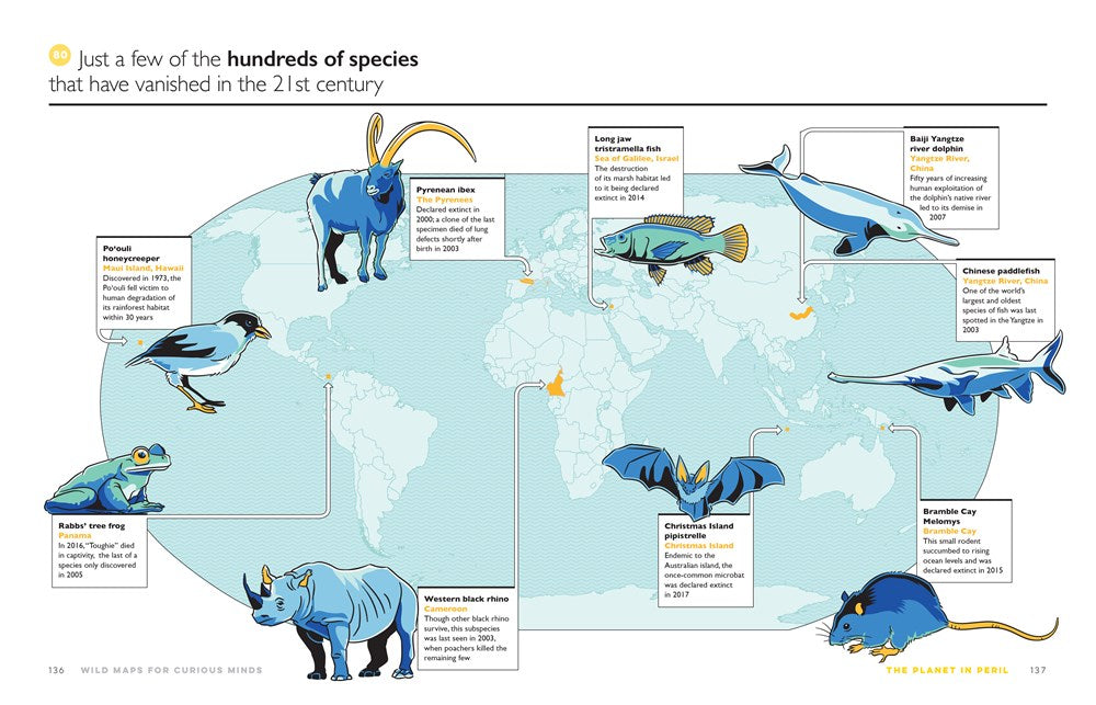 Wild Maps for Curious Minds