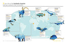Wild Maps for Curious Minds