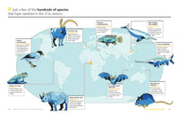 Wild Maps for Curious Minds
