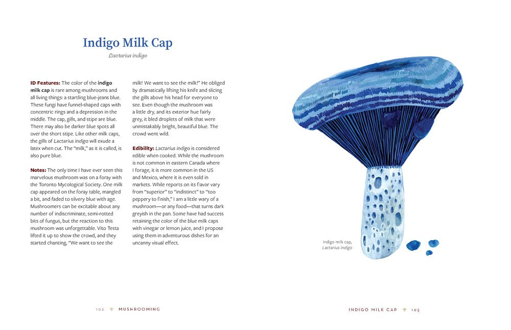 Mushrooming