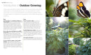 Growing Marijuana
