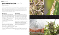 Growing Marijuana