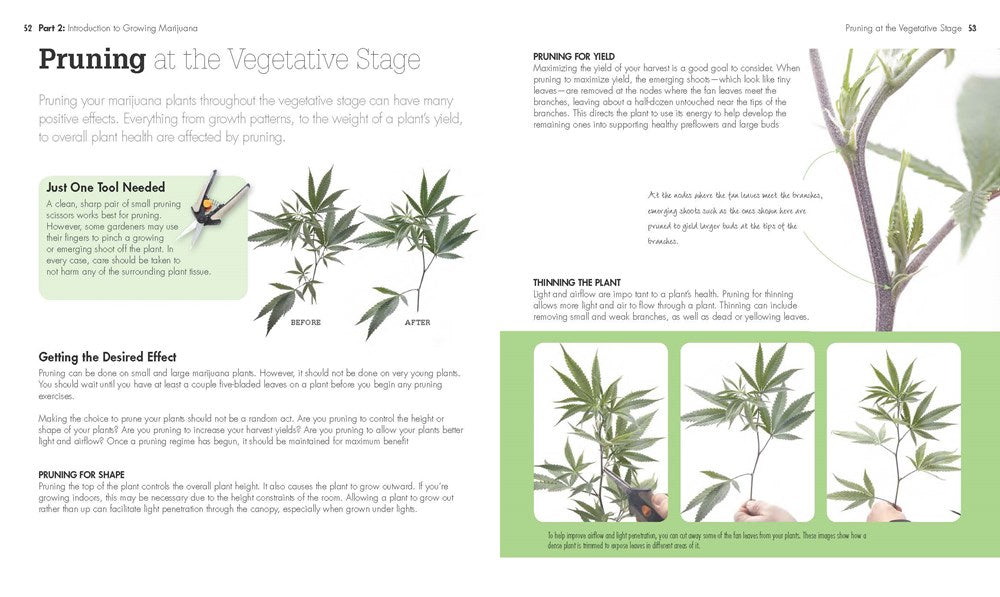 Growing Marijuana
