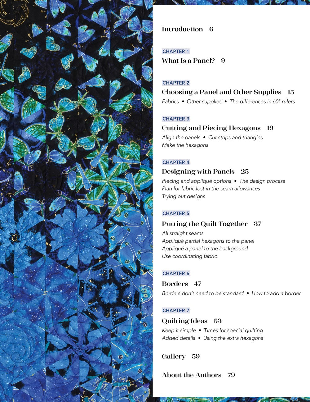 One-Block Wonder Panel Quilts