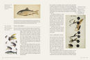 The History of Fly-Fishing in Fifty Flies