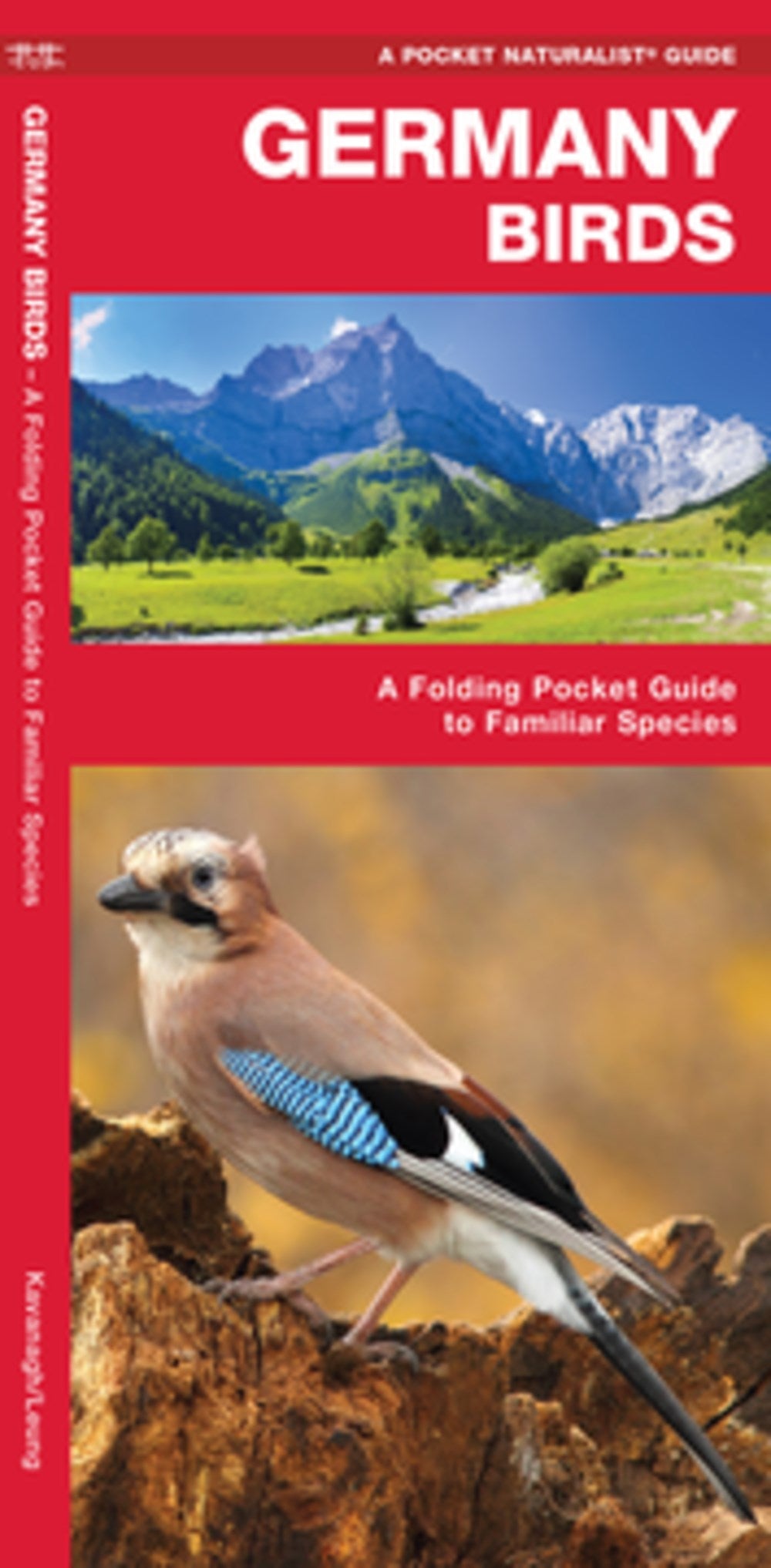 Germany Birds: A Folding Pocket Guide to Familiar Species