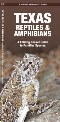 Texas Reptiles & Amphibians: A Folding Pocket Guide to Familiar Species