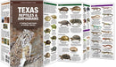 Texas Reptiles & Amphibians