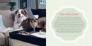 Doggy Desserts