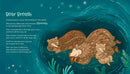 Breathe Like a Bear: 30 Mindful Moments for Kids to Feel Calm and Focused Anytime, Anywhere