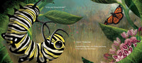 Hello, Little One: A Monarch Butterfly Story
