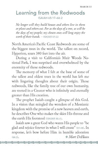 Stand Strong: 365 Devotions for Men by Men
