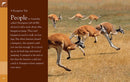 Kangaroos