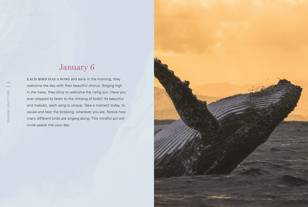 Sunrise Gratitude