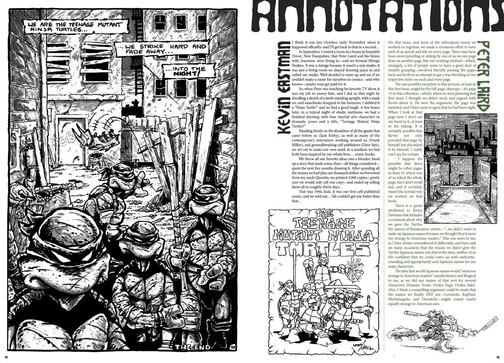 Teenage Mutant Ninja Turtles: The Ultimate Collection, Vol. 1