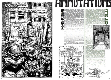 Teenage Mutant Ninja Turtles: The Ultimate Collection, Vol. 1
