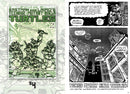 Teenage Mutant Ninja Turtles: The Ultimate Collection, Vol. 1