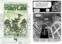 Teenage Mutant Ninja Turtles: The Ultimate Collection, Vol. 1